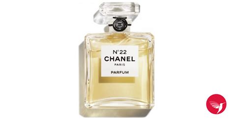 chanel no 22 notes|Chanel no 22 fragrantica.